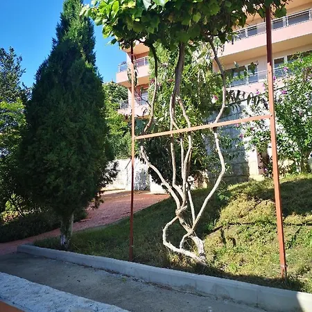 Complex Karia *